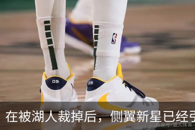 在被湖人裁掉后，侧翼新星已经引起了国王、森林狼和猛龙的关注？