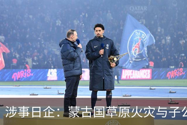 涉事日企：蒙古国草原火灾与子公司高管活动有关